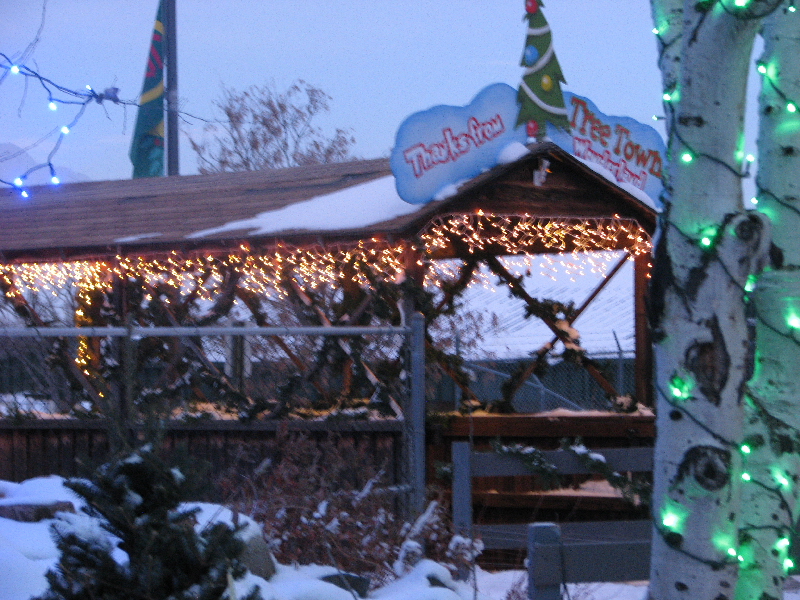 Denver Christmas Tree Farm Fresh, Real Christmas TreesTree Town